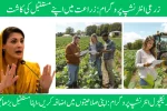 Agricultural Internship Program Cultivating Your Future in Agriculture