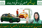 Punjab E-Taxi Program 2025: Payment Structure Finalized