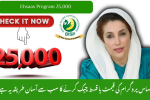 Ehsaas Program 25,000 CNIC Check 2025 — How to Verify CNIC, Eligibility & Payment Details