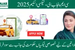 CM Punjab E-Taxi Scheme 2025