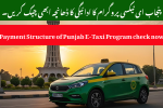 Payment Structure of Punjab E-Taxi Program check now