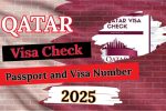 Qatar Visa Check