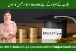 30,000 Scholarships Announced for Punjab Students