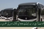 500 Electric Buses