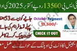 BISP 13500 Payment