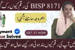 BISP 8171 Payment Suspended