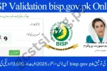 BISP 8171 Validation Portal