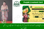 Punjab Livestock Card