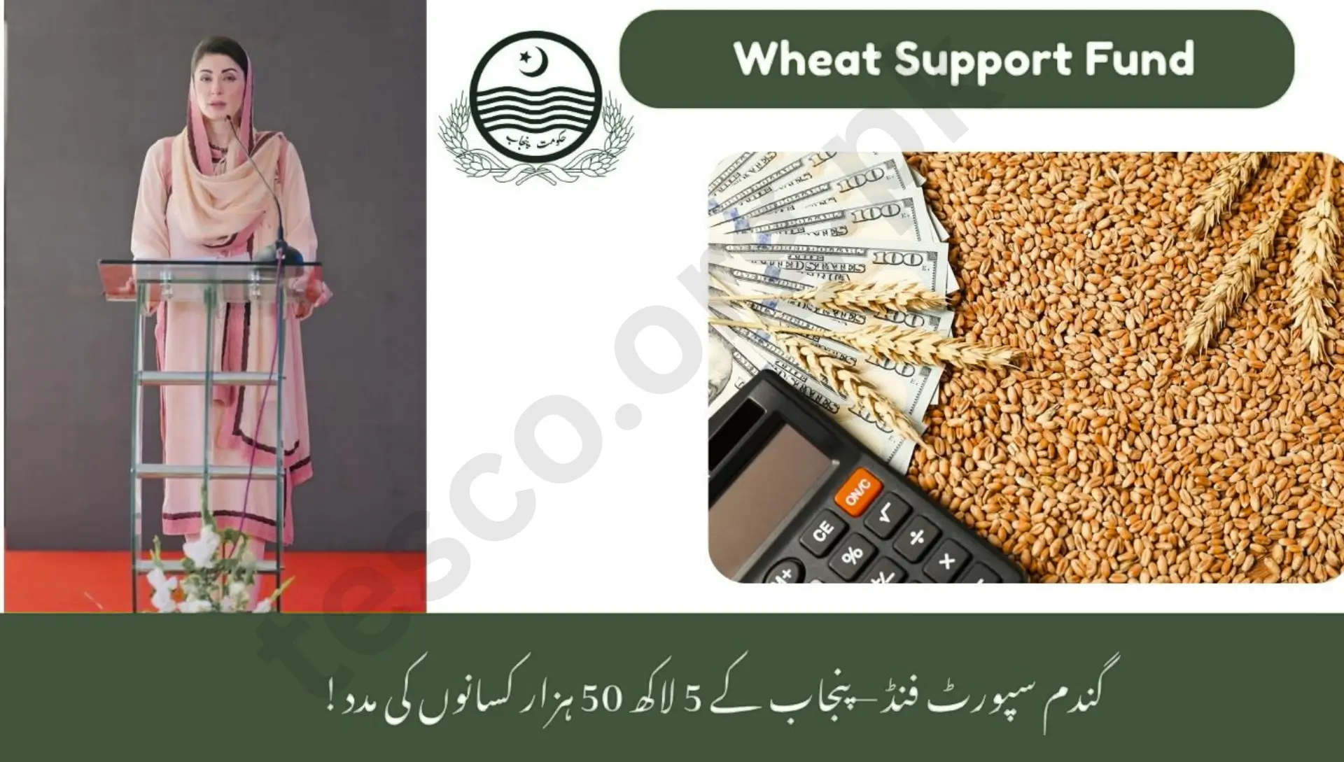 Wheat Support Fund