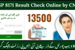 BISP 8171 Result Check Online by CNIC