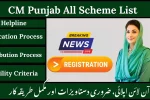 CM Punjab All Scheme List