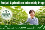 CM Punjab Naujawan Agriculture Internship Program