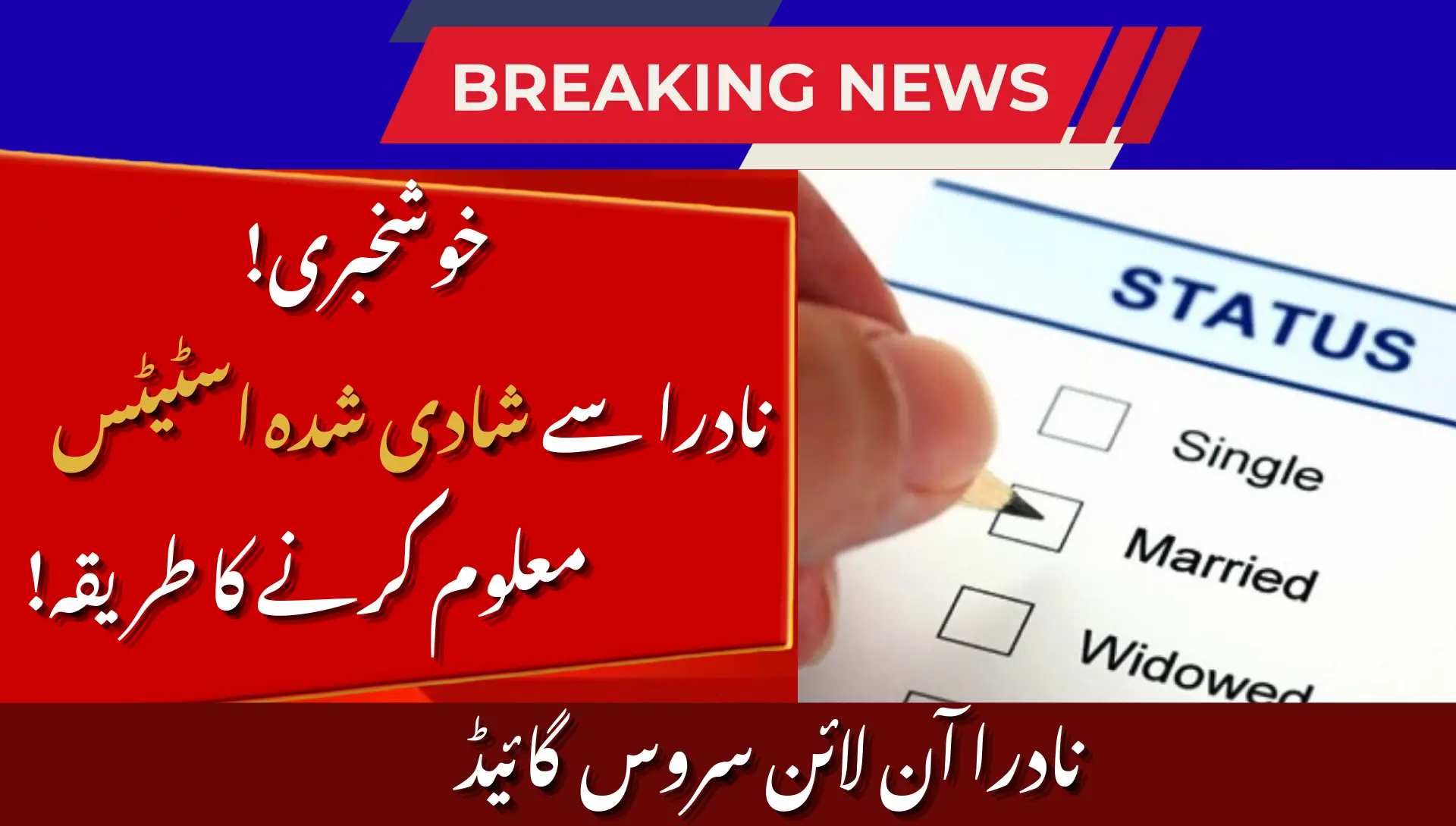 Check Married Status Online in NADRA CNIC
