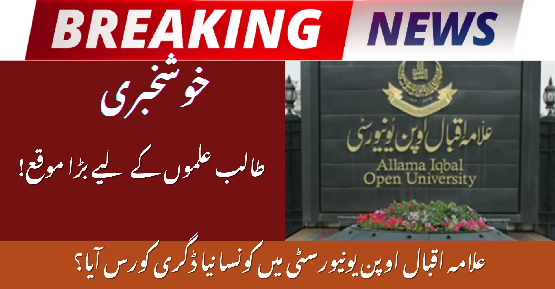 Allama Iqbal Open University Introduces New Degree Program