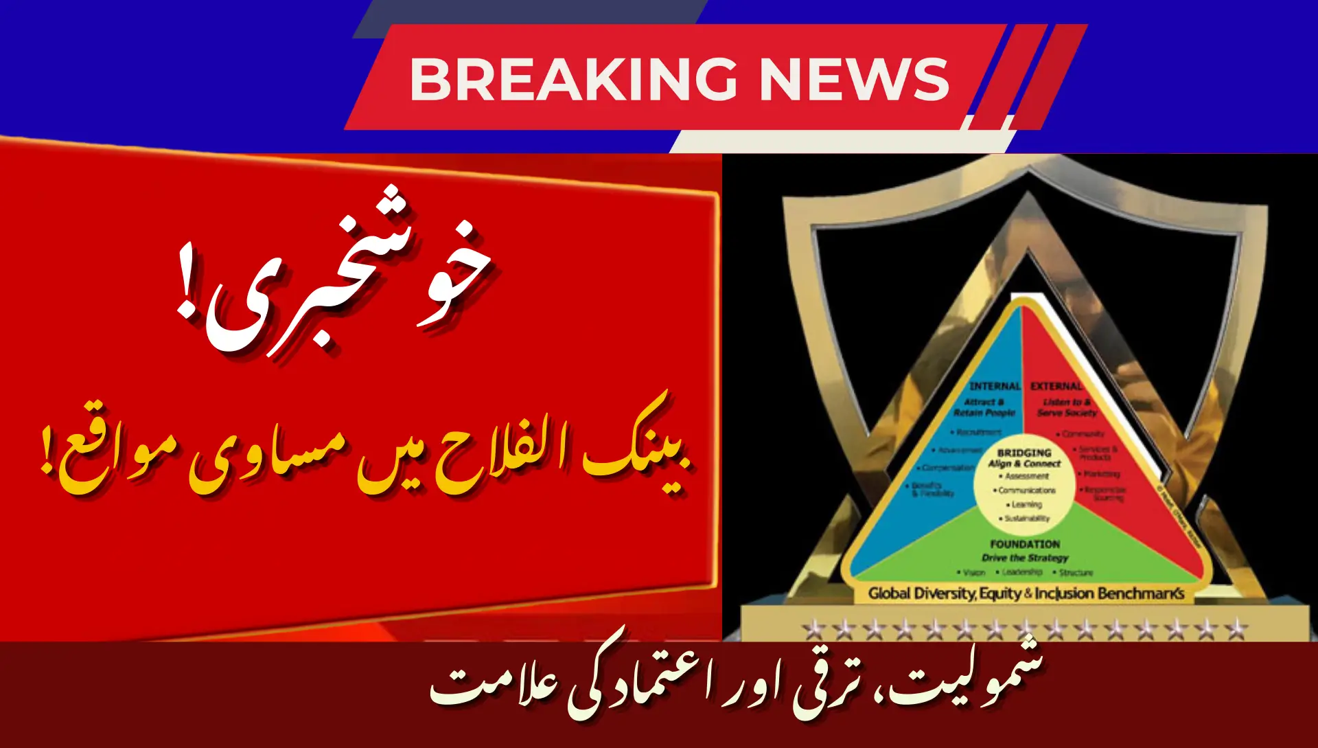 Bank Alfalah Most Inclusive Organisation 2026 Why It Matters