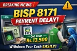 BISP 8171 Payment Delay